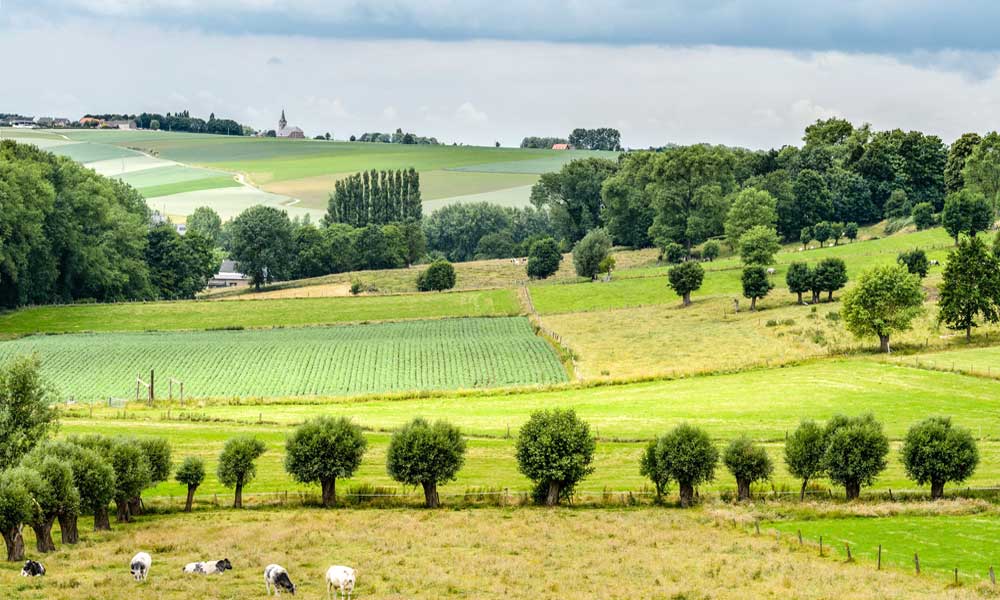 picturesque wavy landscape