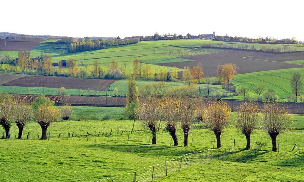 Flemish Ardennes